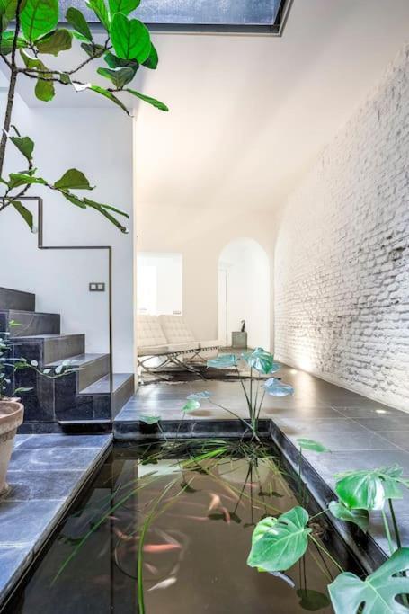 Elegante Duplex Centro Sevilla Matahacas 1 Buitenkant foto