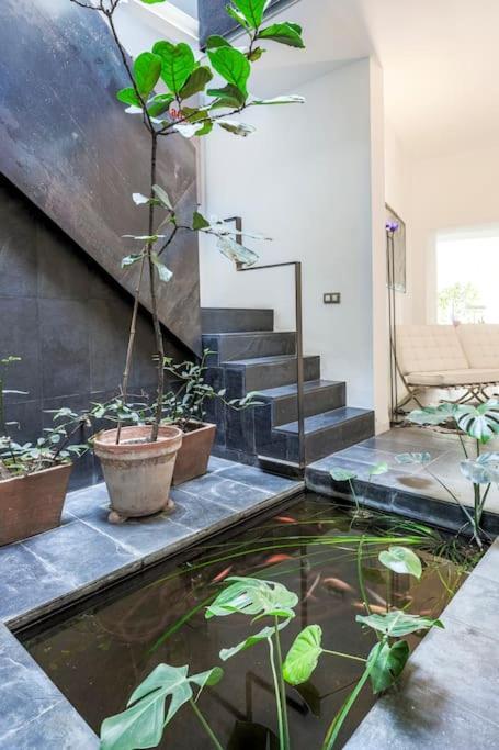 Elegante Duplex Centro Sevilla Matahacas 1 Buitenkant foto